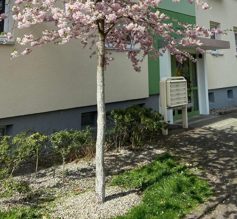 קוטבוס Schoene Kleine Wohnung מראה חיצוני תמונה